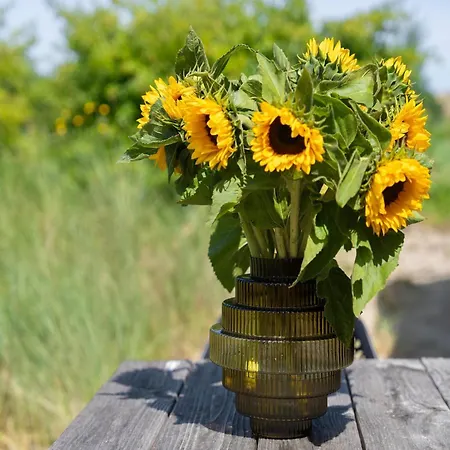 Beautiful Near The Sea Prázdninový dům Egmond aan den Hoef